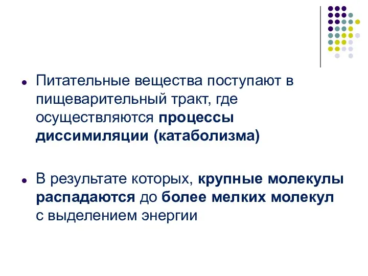 Питательные вещества поступают в пищеварительный тракт, где осуществляются процессы диссимиляции