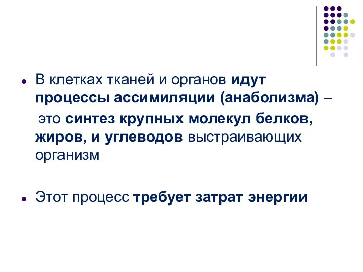 В клетках тканей и органов идут процессы ассимиляции (анаболизма) –