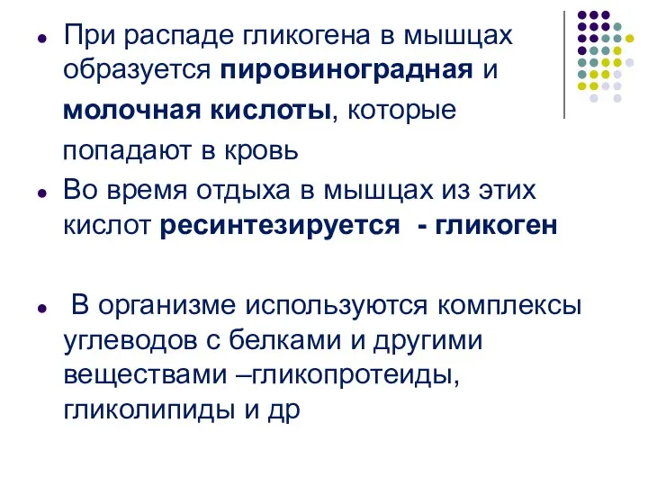 При распаде гликогена в мышцах образуется пировиноградная и молочная кислоты,