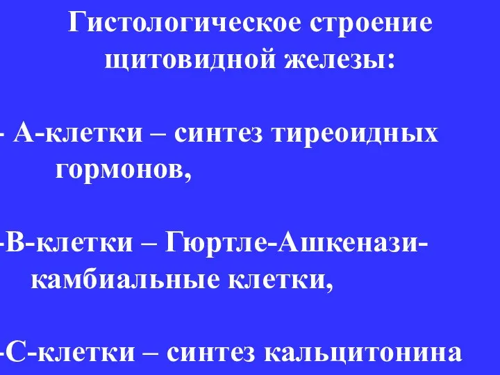 Гистологическое строение щитовидной железы: А-клетки – синтез тиреоидных гормонов, В-клетки