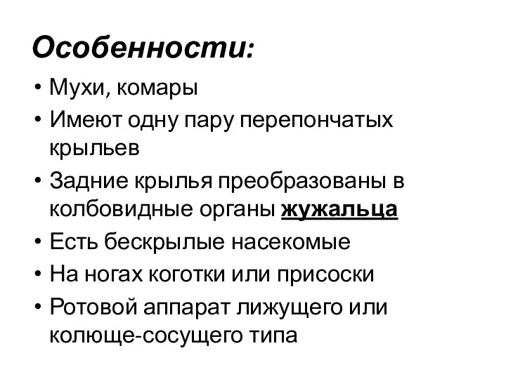 Особенности: Мухи, комары Имеют одну пару перепончатых крыльев Задние крылья