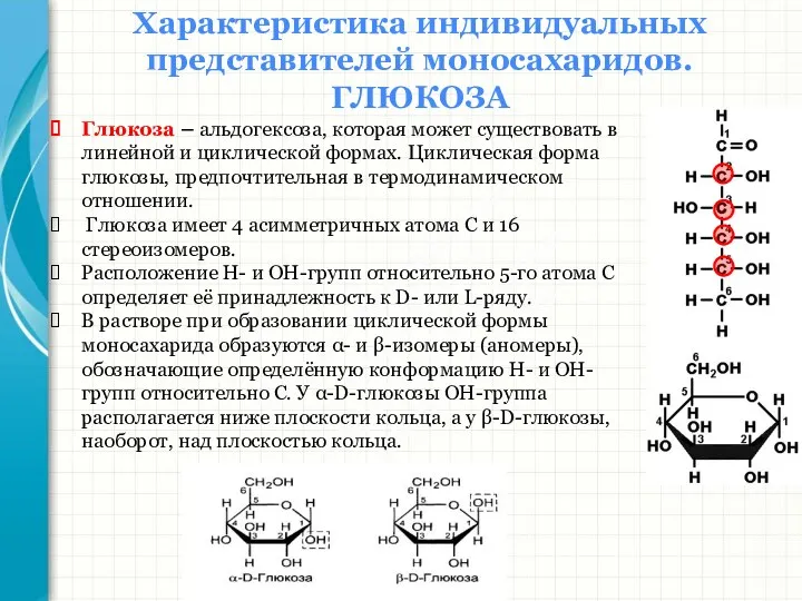 Южный федеральный университет Кафедра биохимии и микробиологии Характеристика индивидуальных представителей