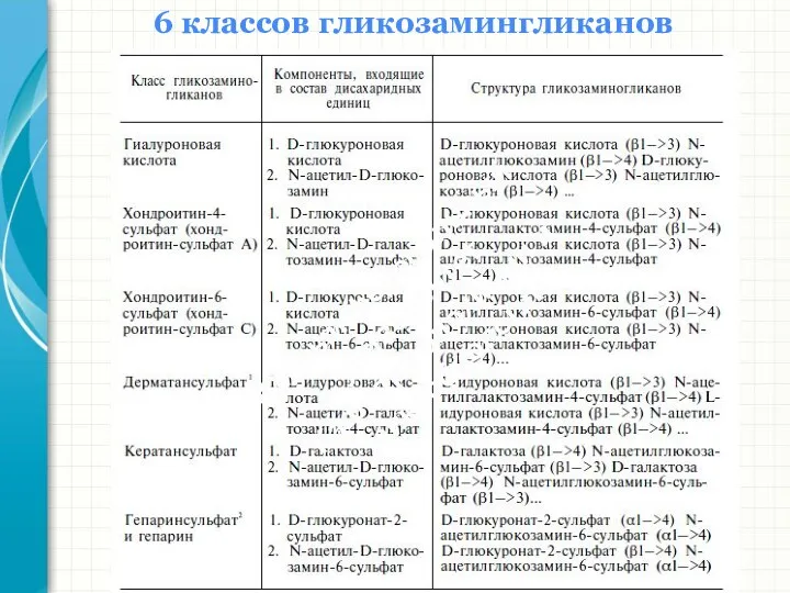 6 классов гликозамингликанов Южный федеральный университет Кафедра биохимии и микробиологии