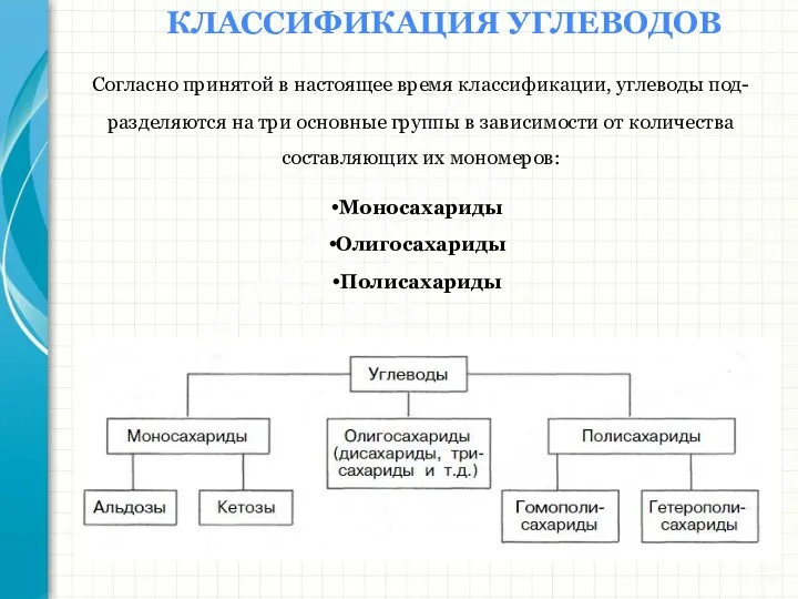 Южный федеральный университет Кафедра биохимии и микробиологии КЛАССИФИКАЦИЯ УГЛЕВОДОВ Согласно