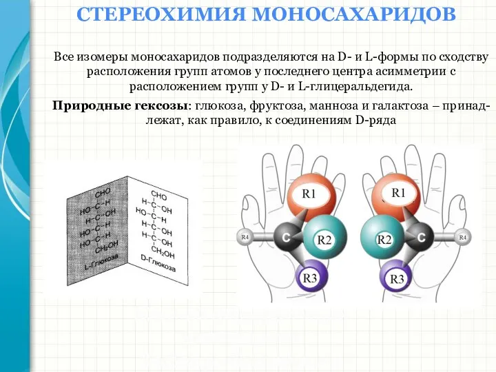 Южный федеральный университет Кафедра биохимии и микробиологии СТЕРЕОХИМИЯ МОНОСАХАРИДОВ Все