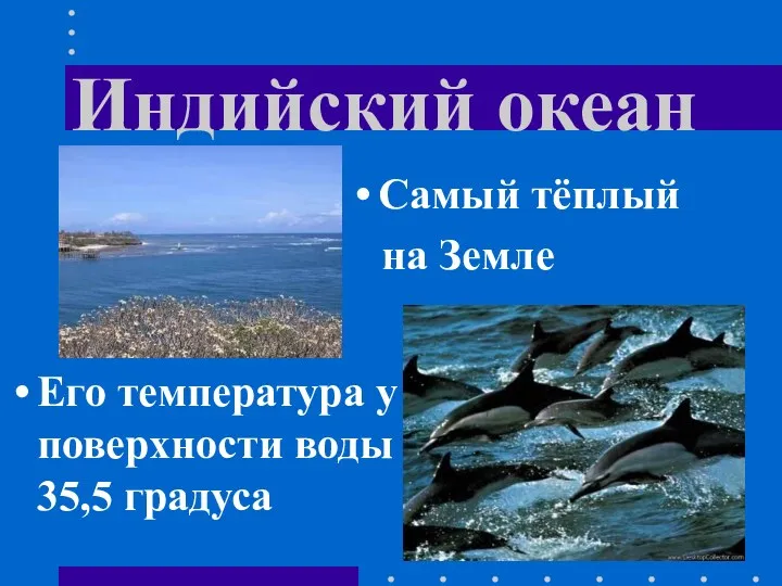 Индийский океан Его температура у поверхности воды 35,5 градуса Самый тёплый на Земле