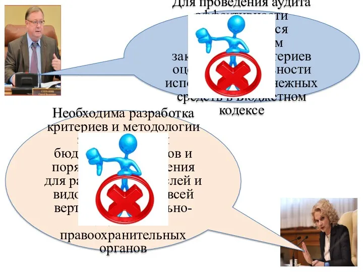 Для проведения аудита эффективности представляется необходимым закрепление критериев оценки эффективности