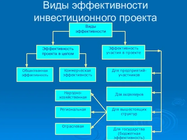 Виды эффективности инвестиционного проекта