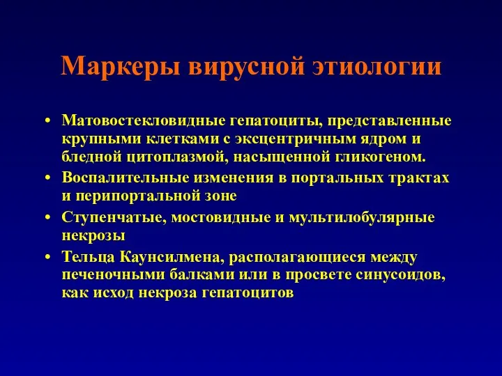 Маркеры вирусной этиологии Матовостекловидные гепатоциты, представленные крупными клетками с эксцентричным