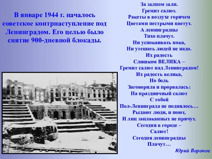 В январе 1944 г. началось советское контрнаступление под Ленинградом. Его