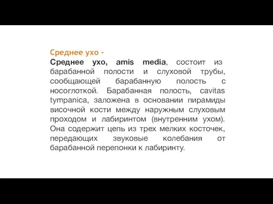 Среднее ухо - Среднее ухо, amis media, состоит из барабанной полости и слуховой