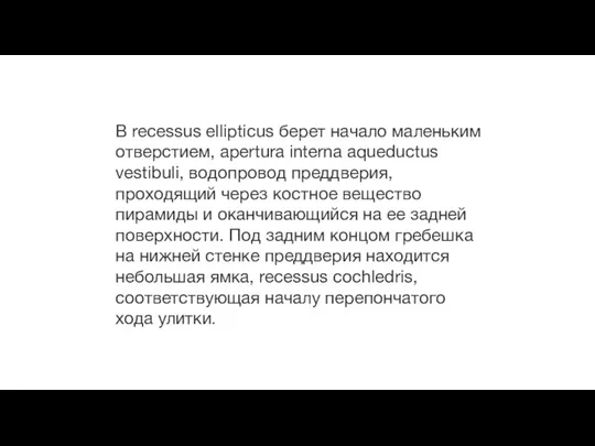 В recessus ellipticus берет начало маленьким отверстием, apertura interna aqueductus vestibuli, водопровод преддверия,