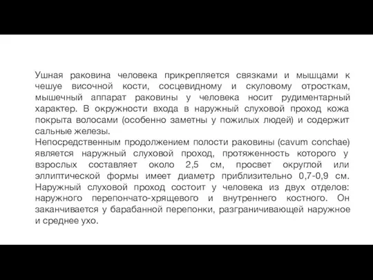 Ушная раковина человека прикрепляется связками и мышцами к чешуе височной кости, сосцевидному и