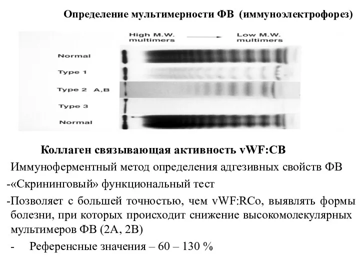 Определение мультимерности ФВ (иммуноэлектрофорез) Коллаген связывающая активность vWF:CB Иммуноферментный метод определения адгезивных свойств
