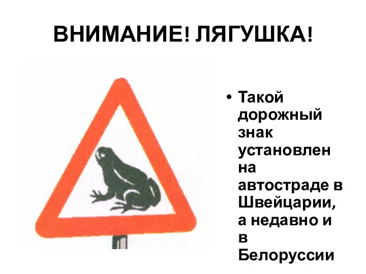 ВНИМАНИЕ! ЛЯГУШКА! Такой дорожный знак установлен на автостраде в Швейцарии, а недавно и в Белоруссии