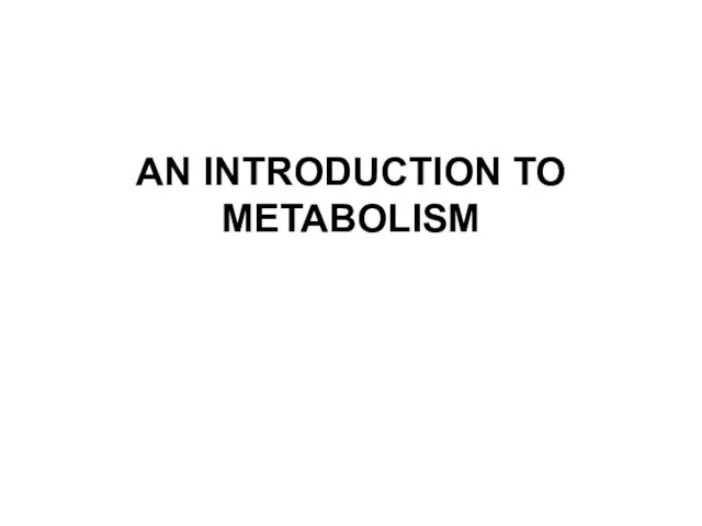 An introduction to metabolism