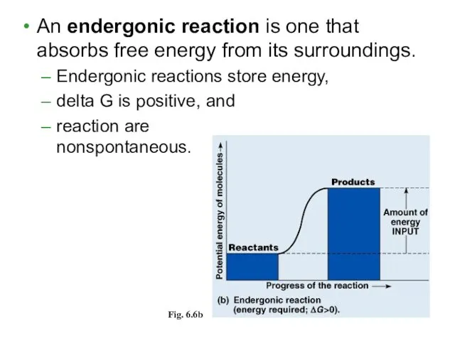 An endergonic reaction is one that absorbs free energy from