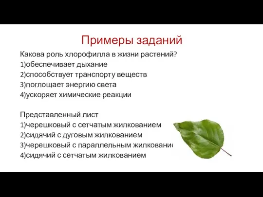 Примеры заданий Какова роль хлорофилла в жизни растений? 1)обеспечивает дыхание