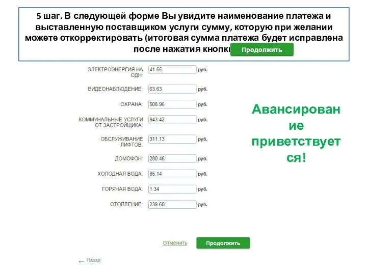 5 шаг. В следующей форме Вы увидите наименование платежа и выставленную поставщиком услуги