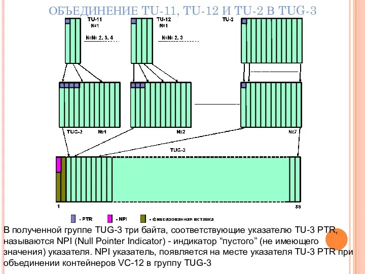 ОБЪЕДИНЕНИЕ TU-11, TU-12 И TU-2 В TUG-3 В полученной группе