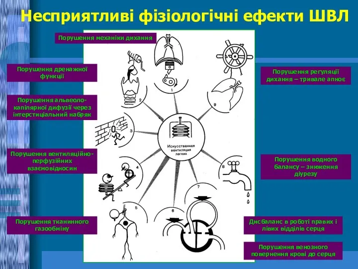 Несприятливі фізіологічні ефекти ШВЛ Порушення механіки дихання Порушення дренажної функції