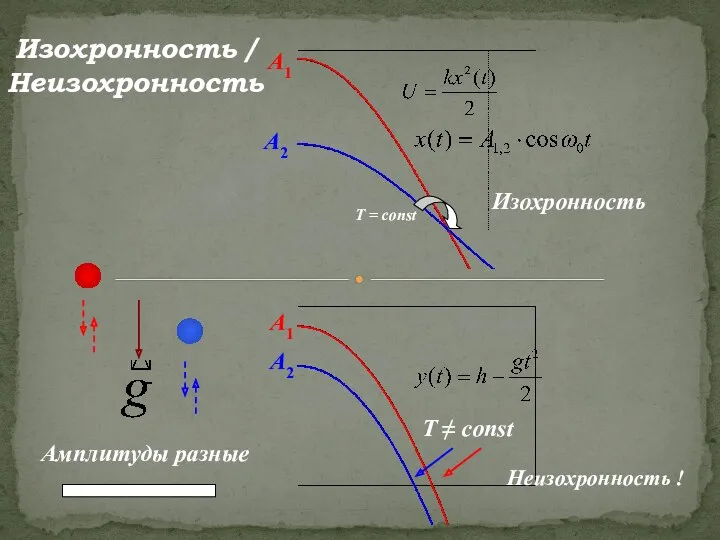 Изохронность / Неизохронность T = const Изохронность Неизохронность ! T ≠ const А1 А2 А1 А2