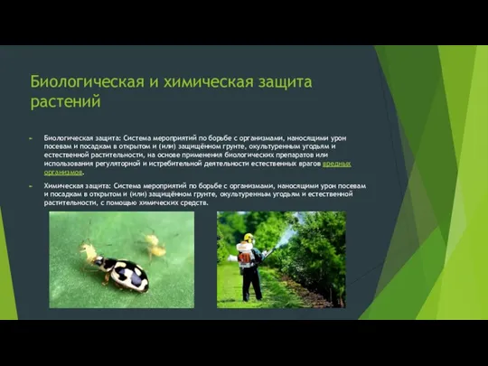 Биологическая и химическая защита растений Биологическая защита: Система мероприятий по