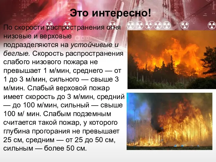 Это интересно! По скорости распространения огня низовые и вер­ховые подразделяются