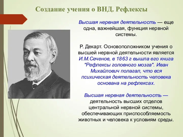 Создание учения о ВНД. Рефлексы Высшая нервная деятельность — еще