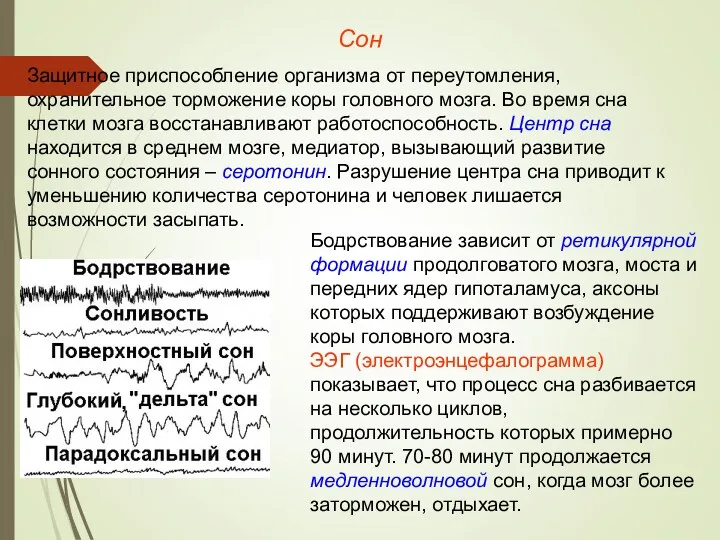 Сон Защитное приспособление организма от переутомления, охранительное торможение коры головного