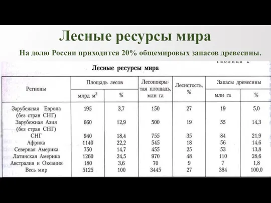 Лесные ресурсы мира На долю России приходится 20% общемировых запасов древесины.