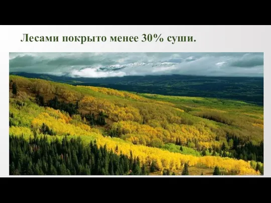 Лесами покрыто менее 30% суши.