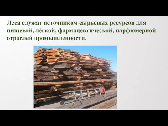 Леса служат источником сырьевых ресурсов для пищевой, лёгкой, фармацевтической, парфюмерной отраслей промышленности.