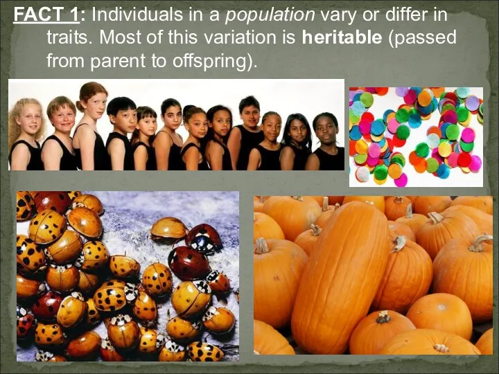 FACT 1: Individuals in a population vary or differ in