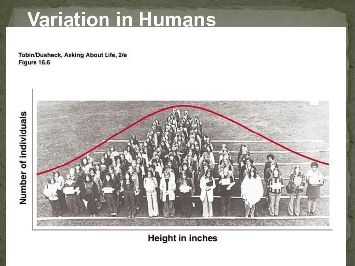 Variation in Humans