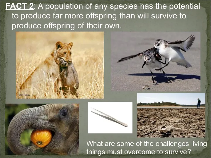 FACT 2: A population of any species has the potential