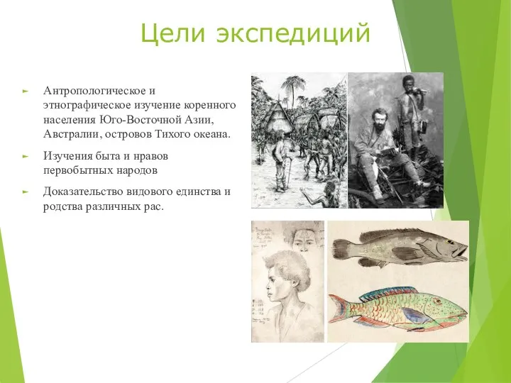 Цели экспедиций Антропологическое и этнографическое изучение коренного населения Юго-Восточной Азии,