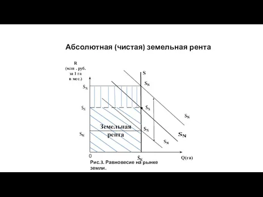 Абсолютная (чистая) земельная рента Рис.3. Равновесие на рынке земли. 0