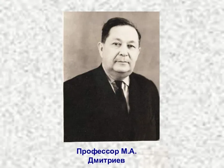 Профессор М.А. Дмитриев