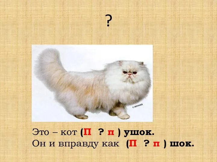 Это – кот (П ? п ) ушок. Он и