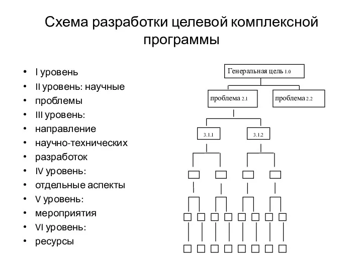 Схема разработки целевой комплексной программы I уровень II уровень: научные