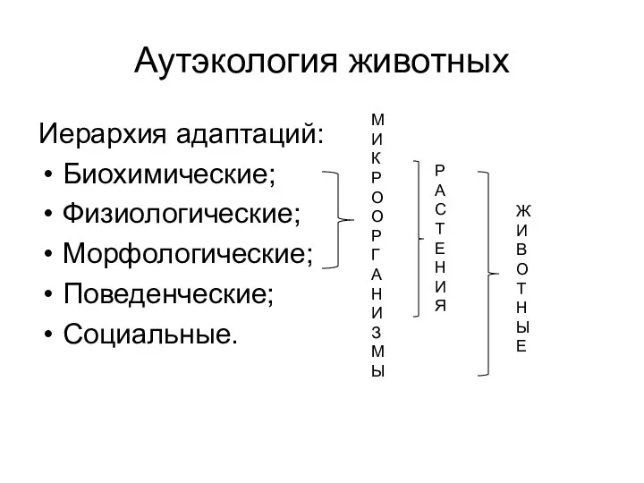 Аутэкология животных Иерархия адаптаций: Биохимические; Физиологические; Морфологические; Поведенческие; Социальные. Р А С Т