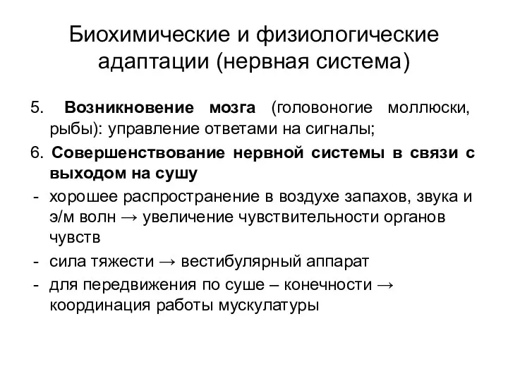 Биохимические и физиологические адаптации (нервная система) 5. Возникновение мозга (головоногие моллюски, рыбы): управление