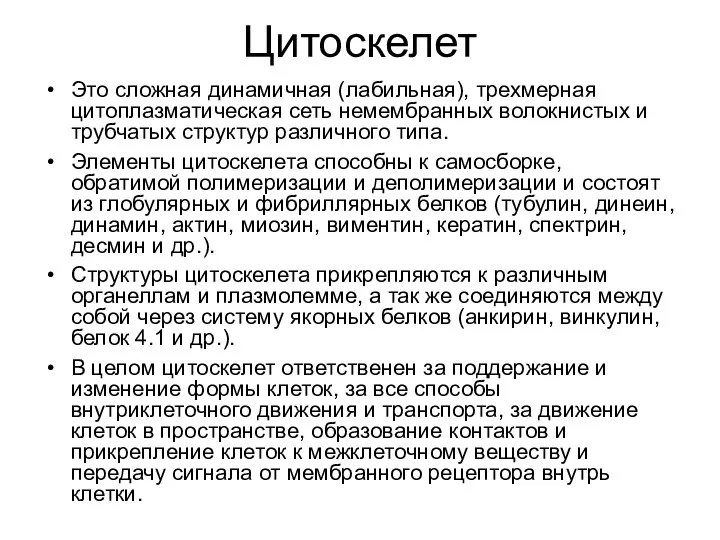 Цитоскелет Это сложная динамичная (лабильная), трехмерная цитоплазматическая сеть немембранных волокнистых