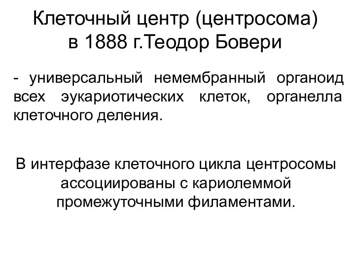 Клеточный центр (центросома) в 1888 г.Теодор Бовери - универсальный немембранный