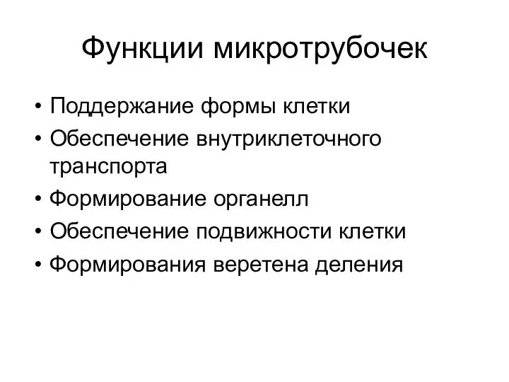 Функции микротрубочек Поддержание формы клетки Обеспечение внутриклеточного транспорта Формирование органелл Обеспечение подвижности клетки Формирования веретена деления