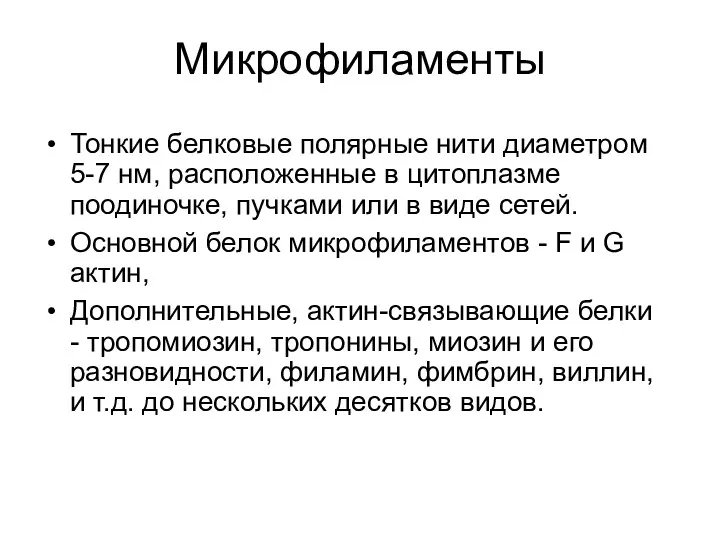 Микрофиламенты Тонкие белковые полярные нити диаметром 5-7 нм, расположенные в