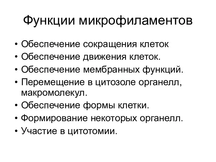 Функции микрофиламентов Обеспечение сокращения клеток Обеспечение движения клеток. Обеспечение мембранных