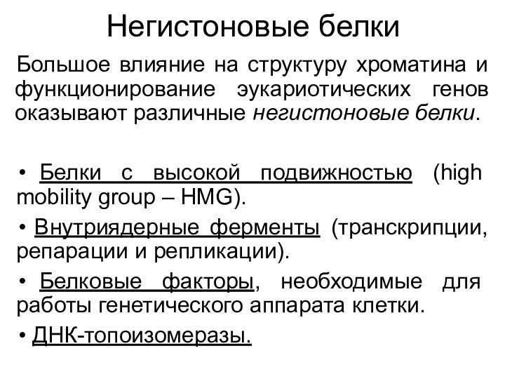 Негистоновые белки Большое влияние на структуру хроматина и функционирование эукариотических