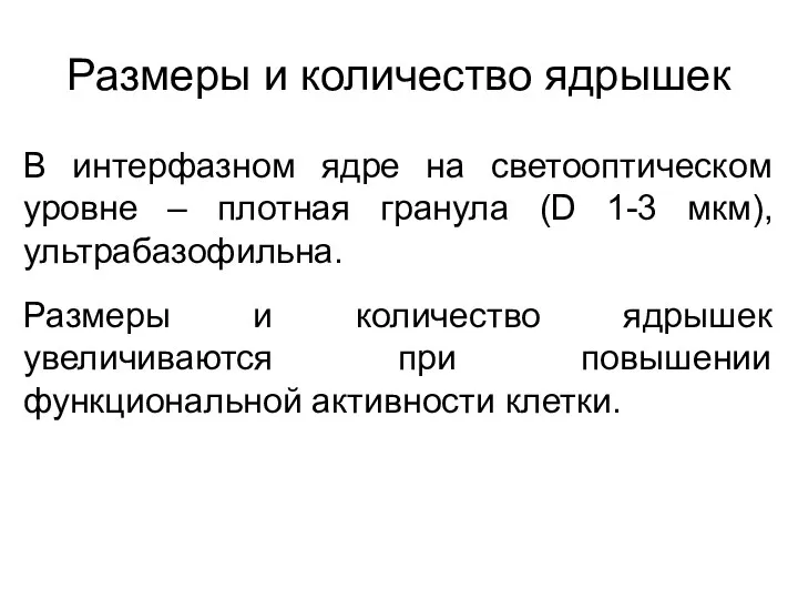 Размеры и количество ядрышек В интерфазном ядре на светооптическом уровне